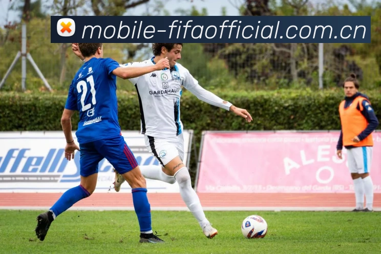 FIFA官方彩票数据授权认证